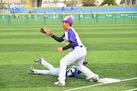 哈利伯顿这操作太绝了！满脑子都是智慧，对手根本跟不上节奏